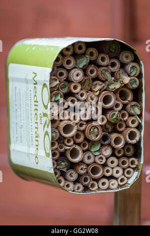 A home for solitary bees made out of bamboo tubes and a recycled olive oil can. Stock Photo