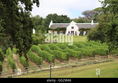 View across a vineyard to the vineyard mansion at Constantia Glen Wines, Cape Town, South Africa Stock Photo