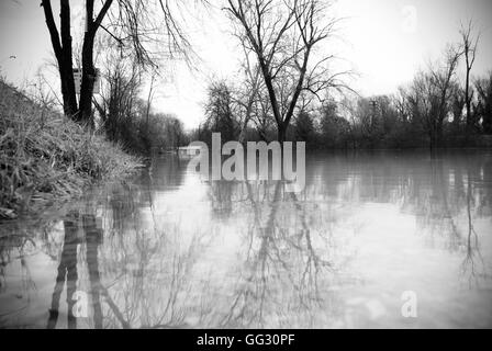 Exceptional flood in pordenone in November 2010 - Pordenone alluvione Novembre 2010 -  Massimiliano Scarpa photographer Stock Photo