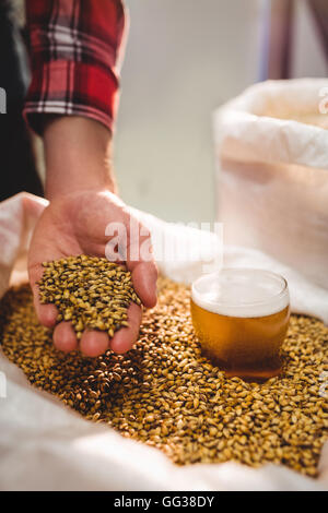 Manufacturer holding barley by beer glass in sack Stock Photo