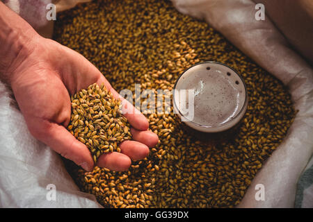 Manufacturer showing barley in sack at brewery Stock Photo