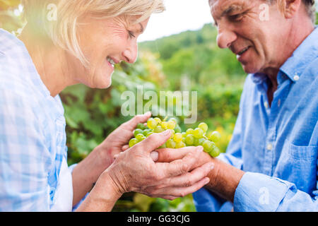 Senior couple in blue shirts holding bunch of grapes Stock Photo