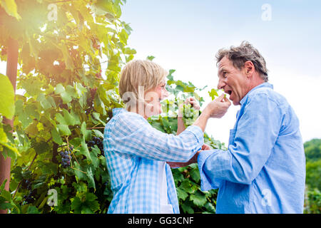 Senior couple in blue shirts eating green grapes Stock Photo