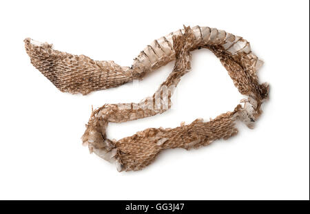 Top view of snake shedding skin isolated on white Stock Photo