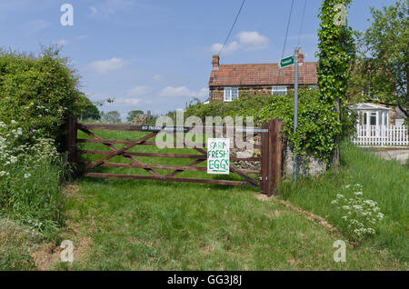 Wooden gate into a farmer's field displaying a sign saying "farm fresh eggs" with farmhouse in the background. Stock Photo