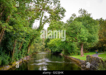 Scenic sight near Cong Abbey, county Mayo, Ireland Stock Photo