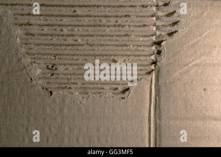 cardboard background ocher in which you see the texture detail Stock Photo