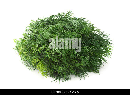 Dill herb closeup isolated on white background Stock Photo