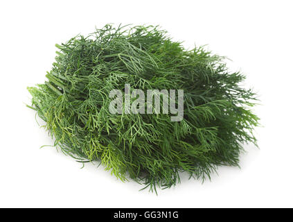 Dill herb closeup isolated on white background Stock Photo