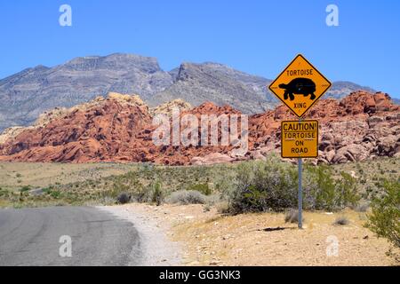 Road sign reading 'Tortoise Crossing' in desert setting. Stock Photo