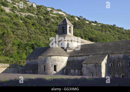 Provence, lavender field and the monastery Abbaye de Senanque, France Stock Photo