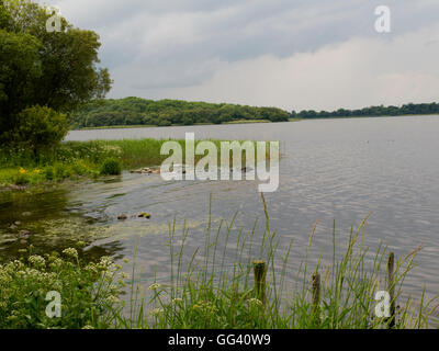 Lough Neagh Craigavon Northern Ireland Stock Photo