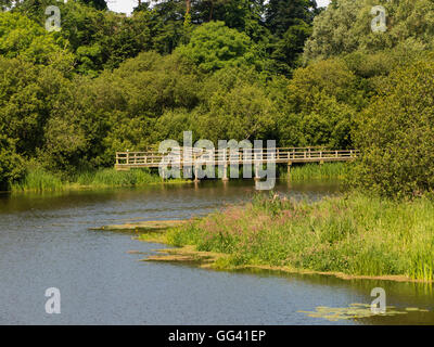 Bridge across Quoile River County Down Northern Ireland Stock Photo