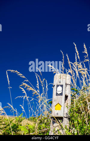 Waymarker on the South West Coast Path near Lantic Bay, Cornwall Stock Photo