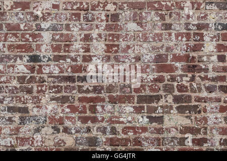Aged Brick Texture with white cement speckle throughout Stock Photo