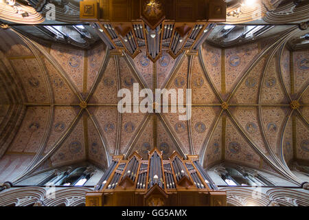 The vaulted ceiling / roof above the Nave in Worcester Cathedral, Worcestershire. UK. Stock Photo