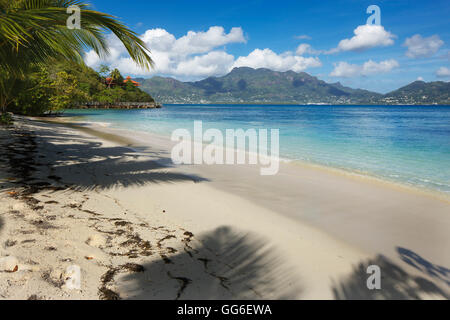 Palm trees providing shade along a deserted sandy beach in the Seychelles, Indian Ocean, Africa Stock Photo