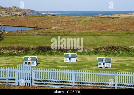 Chicken houses at Hell Bay Hotel, Bryher, Isles of Scilly, England, United Kingdom, Europe Stock Photo