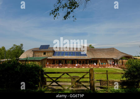 Shorne Woods Country Park visitor centre. Gravesend. Kent. England. UK Stock Photo