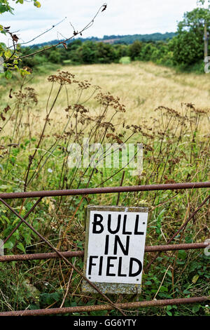 warning sign for BULL IN FIELD Stock Photo