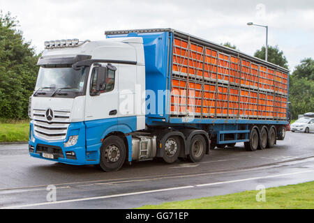 Unmarked lorry transporting caged live chickens, cages and birds. Livestock haulage in Preston, Lancashire, UK Stock Photo