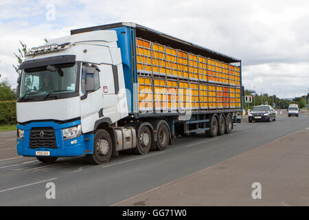 Unmarked lorry transporting caged live chickens, cages and birds. Livestock haulage in Preston, Lancashire, UK Stock Photo