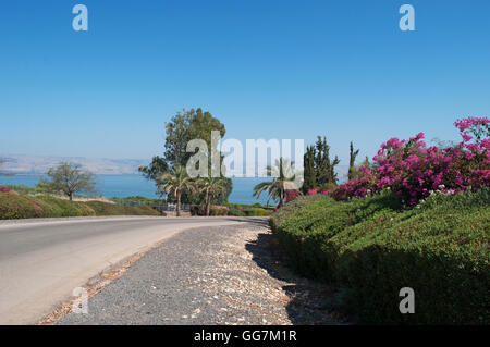 Israel,Middle East: the gardens of Mount of Beatitudes, a hill where Jesus is believed to have delivered the Sermon on the Mount Stock Photo