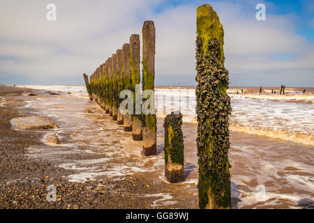 beach groynes at spurn head yorkshire Stock Photo