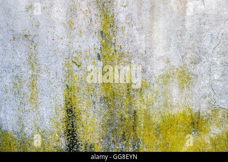 closeup of moisture and fungus on grey concrete wall with many scratches in grungy style Stock Photo