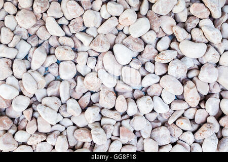 closeup of sidewalk made of many little round white pebble stones Stock Photo