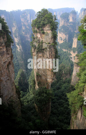 Zhangjiajie, Zhangjiajie, China. 4th Aug, 2016. Zhangjiajie, China - August 3 2016: (EDITORIAL USE ONLY. CHINA OUT) Zhangjiajie is a prefecture-level city in the northwestern part of Hunan province, People's Republic of China. It comprises the district of Yongding and counties of Cili and Sangzhi. Within it is located Wulingyuan Scenic Area which was designated a UNESCO World Heritage Site in 1992 as well as an AAAAA scenic area by the China National Tourism Administration. © SIPA Asia/ZUMA Wire/Alamy Live News Stock Photo