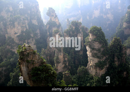 Zhangjiajie, Zhangjiajie, China. 4th Aug, 2016. Zhangjiajie, China - August 3 2016: (EDITORIAL USE ONLY. CHINA OUT) Zhangjiajie is a prefecture-level city in the northwestern part of Hunan province, People's Republic of China. It comprises the district of Yongding and counties of Cili and Sangzhi. Within it is located Wulingyuan Scenic Area which was designated a UNESCO World Heritage Site in 1992 as well as an AAAAA scenic area by the China National Tourism Administration. © SIPA Asia/ZUMA Wire/Alamy Live News Stock Photo