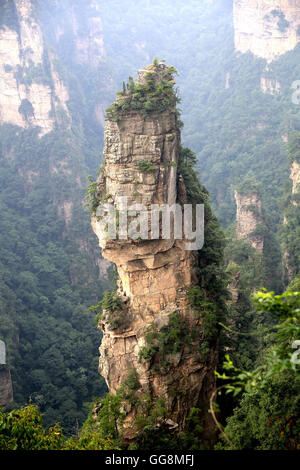 Zhangjiajie, Zhangjiajie, China. 4th Aug, 2016. Zhangjiajie, China - August 3 2016: (EDITORIAL USE ONLY. CHINA OUT) Zhangjiajie is a prefecture-level city in the northwestern part of Hunan province, People's Republic of China. It comprises the district of Yongding and counties of Cili and Sangzhi. Within it is located Wulingyuan Scenic Area which was designated a UNESCO World Heritage Site in 1992 as well as an AAAAA scenic area by the China National Tourism Administration. © SIPA Asia/ZUMA Wire/Alamy Live News Stock Photo