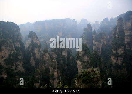 Zhangjiajie, Zhangjiajie, China. 4th Aug, 2016. Zhangjiajie, China - August 3 2016: (EDITORIAL USE ONLY. CHINA OUT) Zhangjiajie is a prefecture-level city in the northwestern part of Hunan province, People's Republic of China. It comprises the district of Yongding and counties of Cili and Sangzhi. Within it is located Wulingyuan Scenic Area which was designated a UNESCO World Heritage Site in 1992 as well as an AAAAA scenic area by the China National Tourism Administration. © SIPA Asia/ZUMA Wire/Alamy Live News Stock Photo