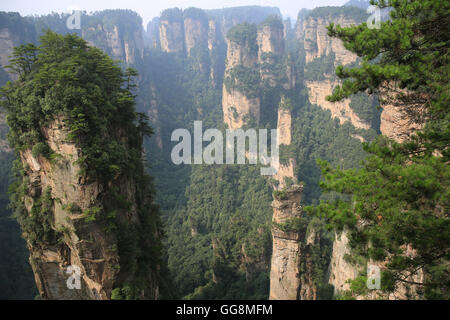 Zhangjiajie, Zhangjiajie, China. 4th Aug, 2016. Zhangjiajie, China - August 3 2016: (EDITORIAL USE ONLY. CHINA OUT) Zhangjiajie is a prefecture-level city in the northwestern part of Hunan province, People's Republic of China. It comprises the district of Yongding and counties of Cili and Sangzhi. Within it is located Wulingyuan Scenic Area which was designated a UNESCO World Heritage Site in 1992 as well as an AAAAA scenic area by the China National Tourism Administration. © SIPA Asia/ZUMA Wire/Alamy Live News Stock Photo