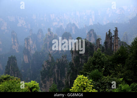 Zhangjiajie, Zhangjiajie, China. 4th Aug, 2016. Zhangjiajie, China - August 3 2016: (EDITORIAL USE ONLY. CHINA OUT) Zhangjiajie is a prefecture-level city in the northwestern part of Hunan province, People's Republic of China. It comprises the district of Yongding and counties of Cili and Sangzhi. Within it is located Wulingyuan Scenic Area which was designated a UNESCO World Heritage Site in 1992 as well as an AAAAA scenic area by the China National Tourism Administration. © SIPA Asia/ZUMA Wire/Alamy Live News Stock Photo