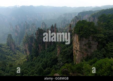 Zhangjiajie, Zhangjiajie, China. 4th Aug, 2016. Zhangjiajie, China - August 3 2016: (EDITORIAL USE ONLY. CHINA OUT) Zhangjiajie is a prefecture-level city in the northwestern part of Hunan province, People's Republic of China. It comprises the district of Yongding and counties of Cili and Sangzhi. Within it is located Wulingyuan Scenic Area which was designated a UNESCO World Heritage Site in 1992 as well as an AAAAA scenic area by the China National Tourism Administration. © SIPA Asia/ZUMA Wire/Alamy Live News Stock Photo