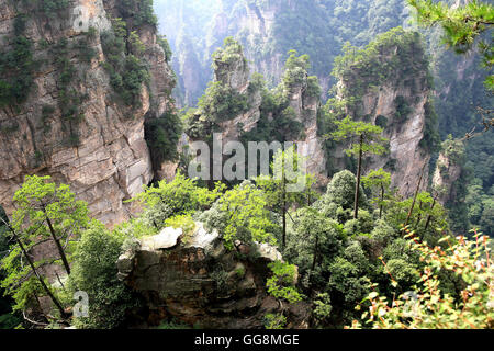 Zhangjiajie, Zhangjiajie, China. 4th Aug, 2016. Zhangjiajie, China - August 3 2016: (EDITORIAL USE ONLY. CHINA OUT) Zhangjiajie is a prefecture-level city in the northwestern part of Hunan province, People's Republic of China. It comprises the district of Yongding and counties of Cili and Sangzhi. Within it is located Wulingyuan Scenic Area which was designated a UNESCO World Heritage Site in 1992 as well as an AAAAA scenic area by the China National Tourism Administration. © SIPA Asia/ZUMA Wire/Alamy Live News Stock Photo