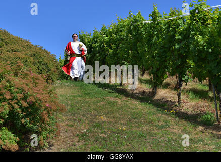 Kesten, Germany. 9th Aug, 2016. Sven Finke posing in a vineyard near Kesten, Germany, 9 August 2016. The law student was crowned wine king on 12 August 2016. For two years, the 25-year-old will campaign for the wine of the 350-people-village dressed as 'Bacchus', the Roman god of wine. PHOTO: HARALD TITTEL/dpa/Alamy Live News Stock Photo