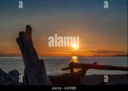 sunset over driftwood in Point Roberts, Washington State, USA Stock Photo