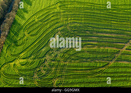 Aerial view, executor tracks in sown field, wheel tracks, chaotic tracks to Grünedal, Velbert, Ruhr area, north rhine-westphalia Stock Photo