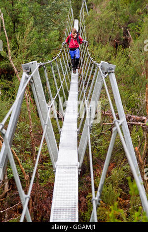 Boy crossing a suspension bridge on the Overland Track Stock Photo