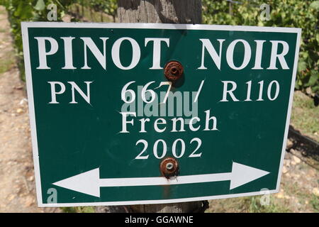 Signpost at the vineyard of Shannon Wines & Vineyards, Elgin Valley, South Africa Stock Photo