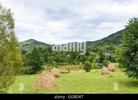 Photo of hay stacks on green fields, Romania. Stock Photo