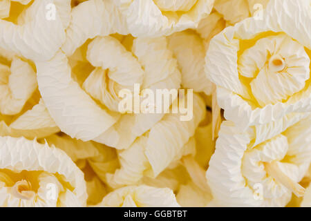 Yellow flowers paper background pattern style, flowers made from paper. Stock Photo