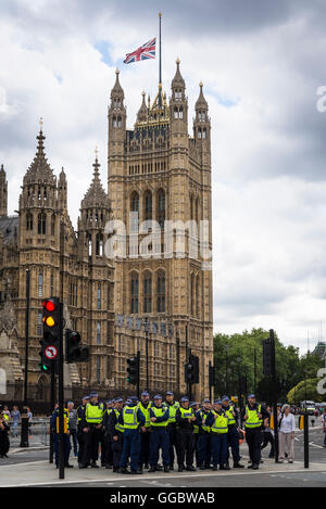 Riot Police, No More Austerity - No To Racism - Tories Must G, demonstration, July 16th 2016, London, United Kingdom, UK Stock Photo