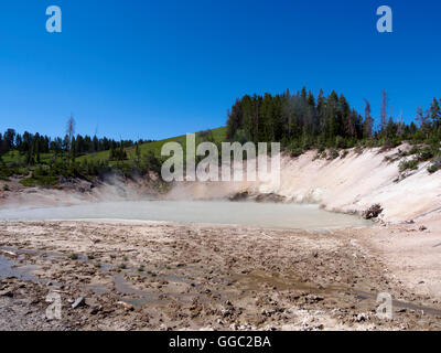 Mud Volcano Area, Yellowstone National Park Stock Photo