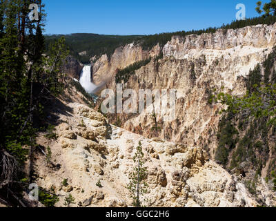 Lower Falls from Artist Point, Yellowstone National Park Stock Photo