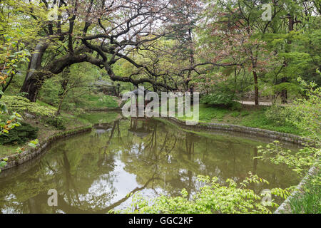 Scenic view of lush nature and a pond at Huwon (Secret Garden) at the Changdeokgung Palace in Seoul, South Korea.