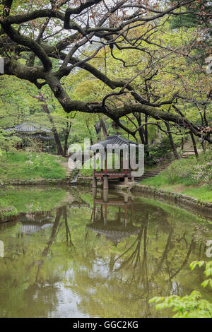 Scenic view of lush nature and a pond at Huwon (Secret Garden) at the Changdeokgung Palace in Seoul, South Korea.